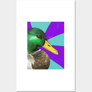 Mallard Posters and Art